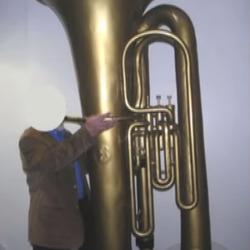 tuba